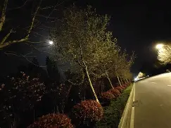洗冤录！被尼科续约“玩弄”后巴萨有5种可能挽回尊严